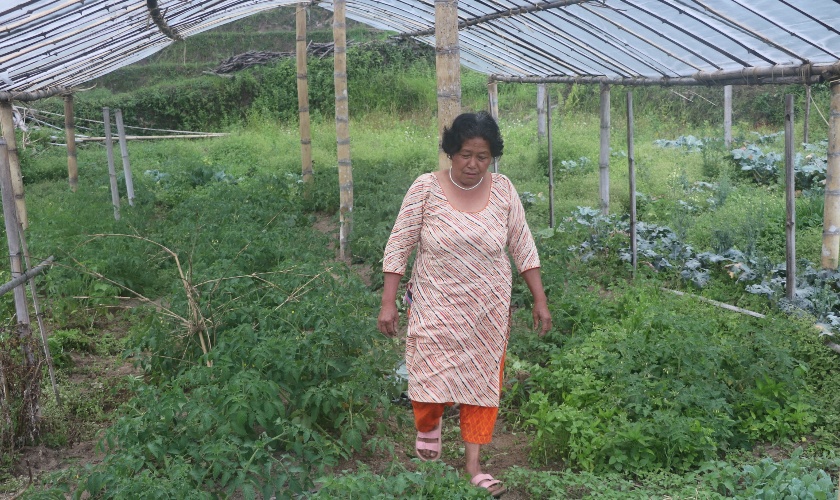 उद्यमशील मायादेवीको लोभलाग्दो जैविक तरकारी खेती